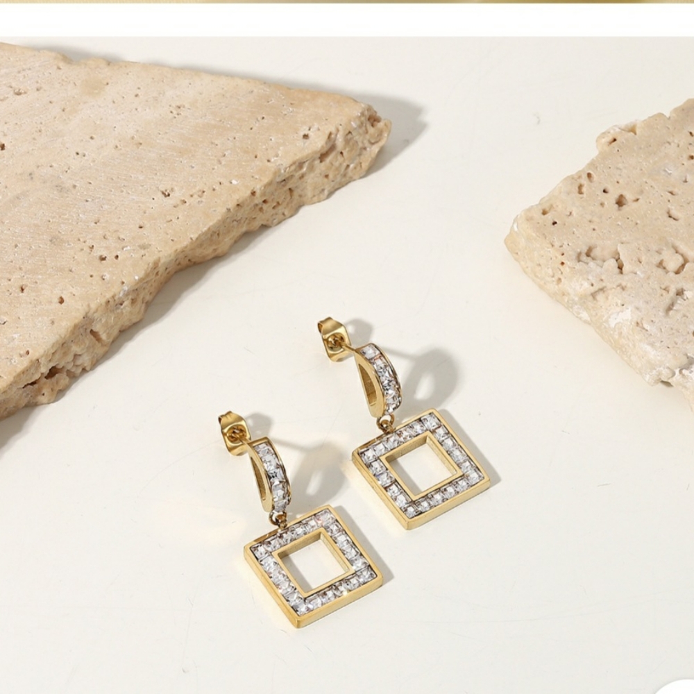 14k Gold Stainless Steel Zicron earrings